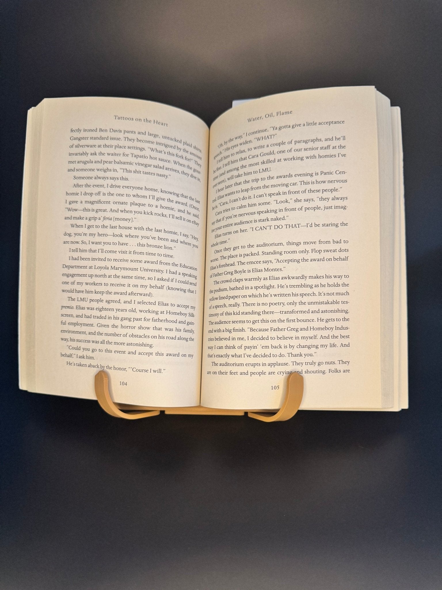 Book Stand - Frogivation