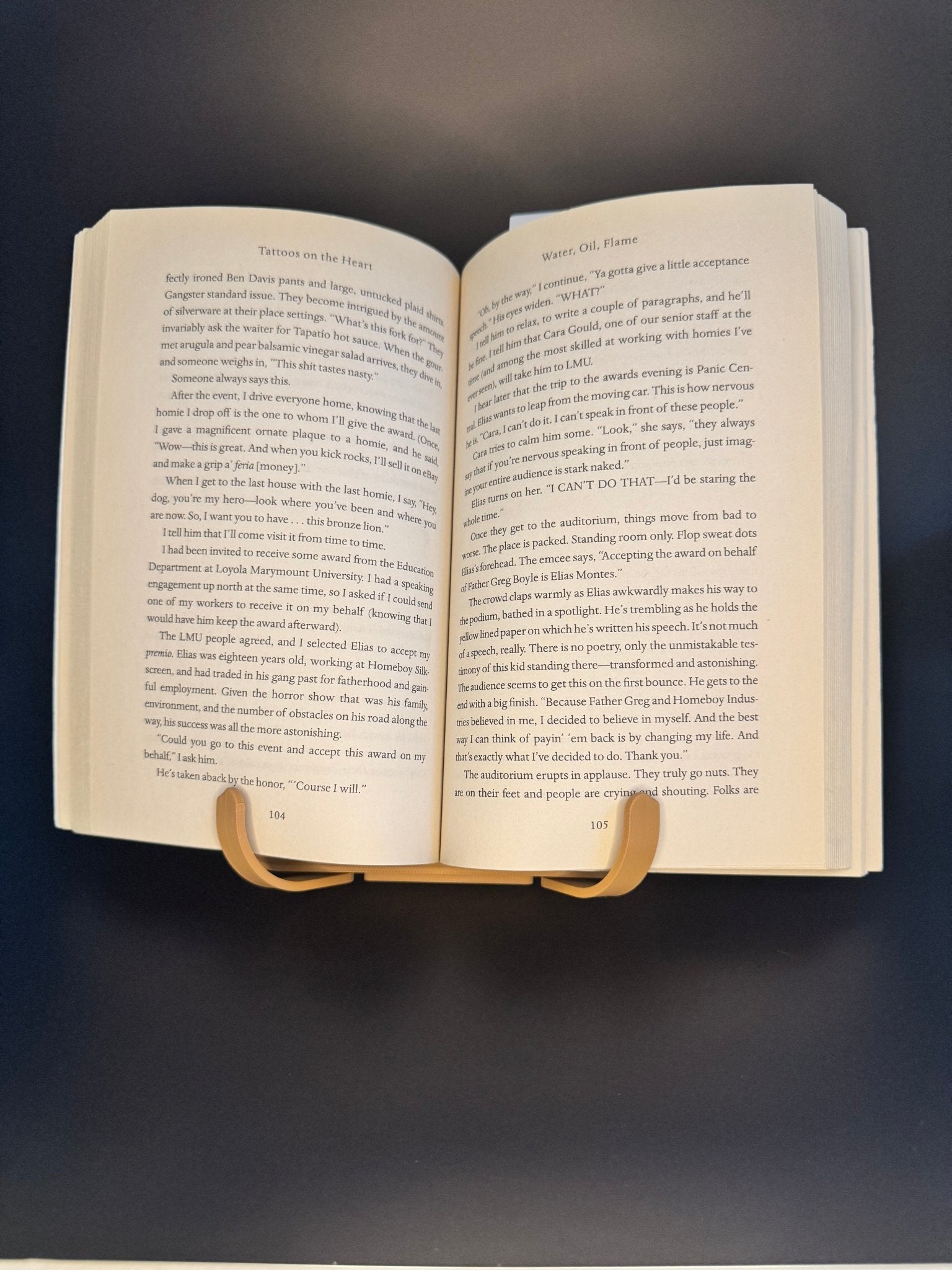 Book Stand - Frogivation