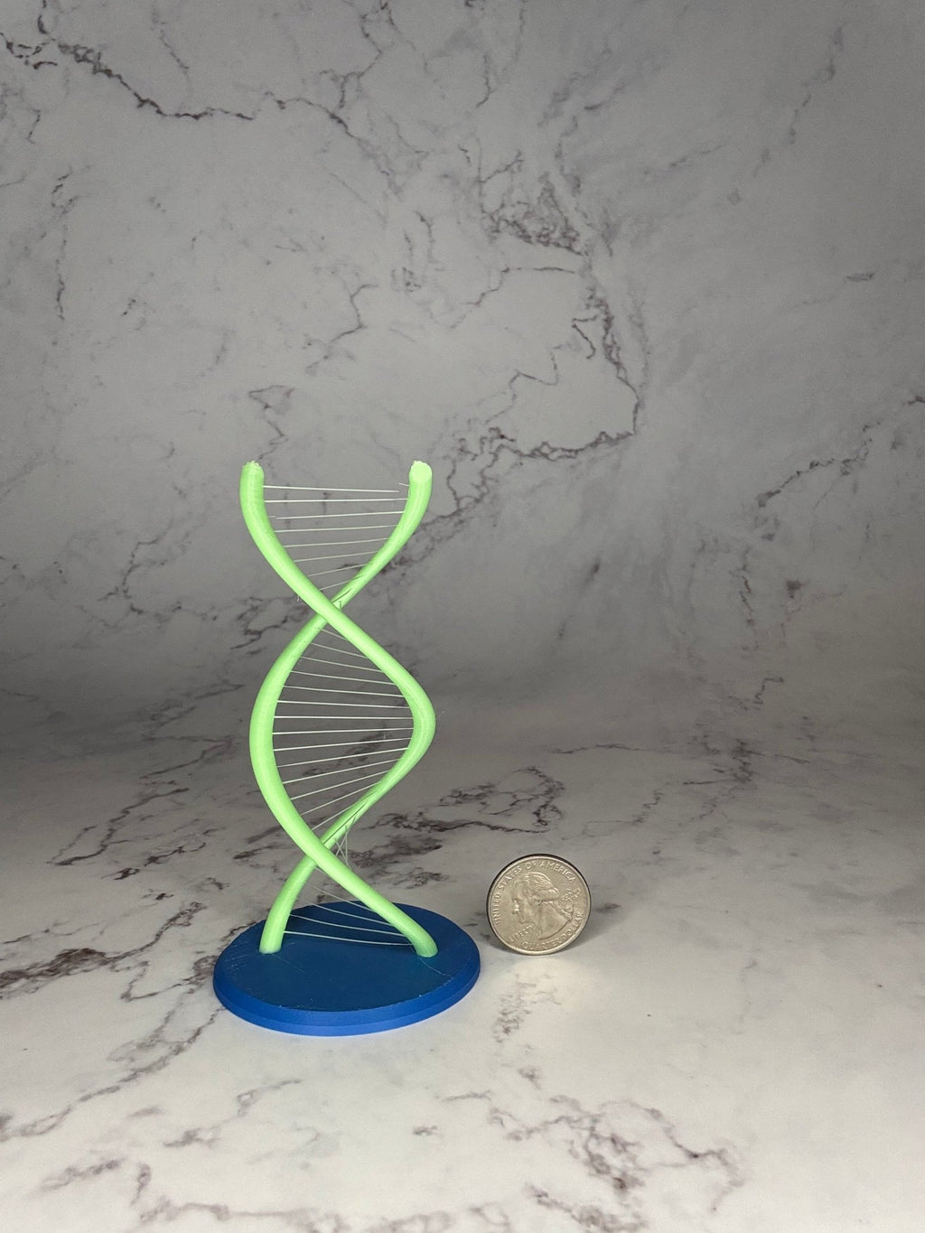 DNA Strand - Frogivation