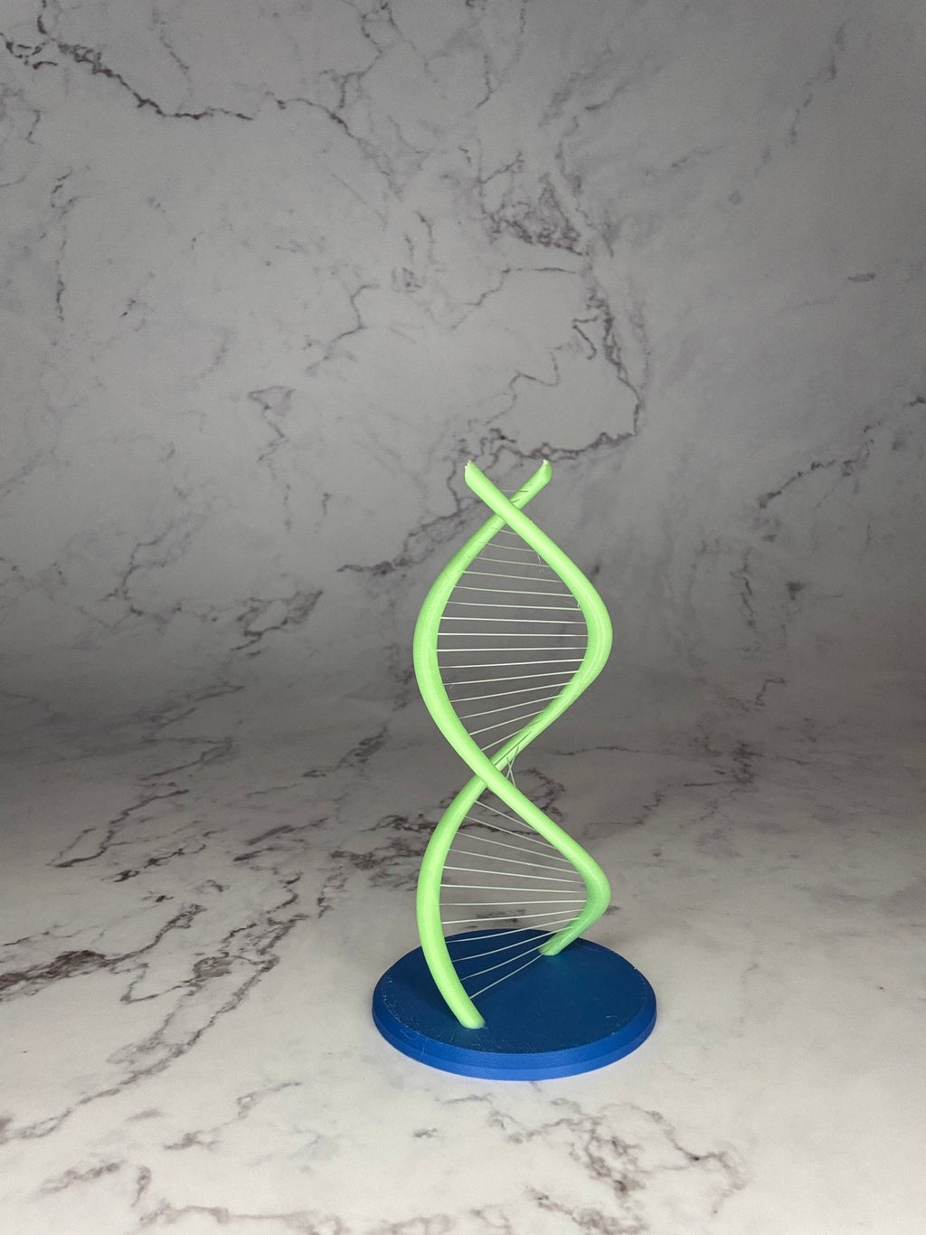 DNA Strand - Frogivation