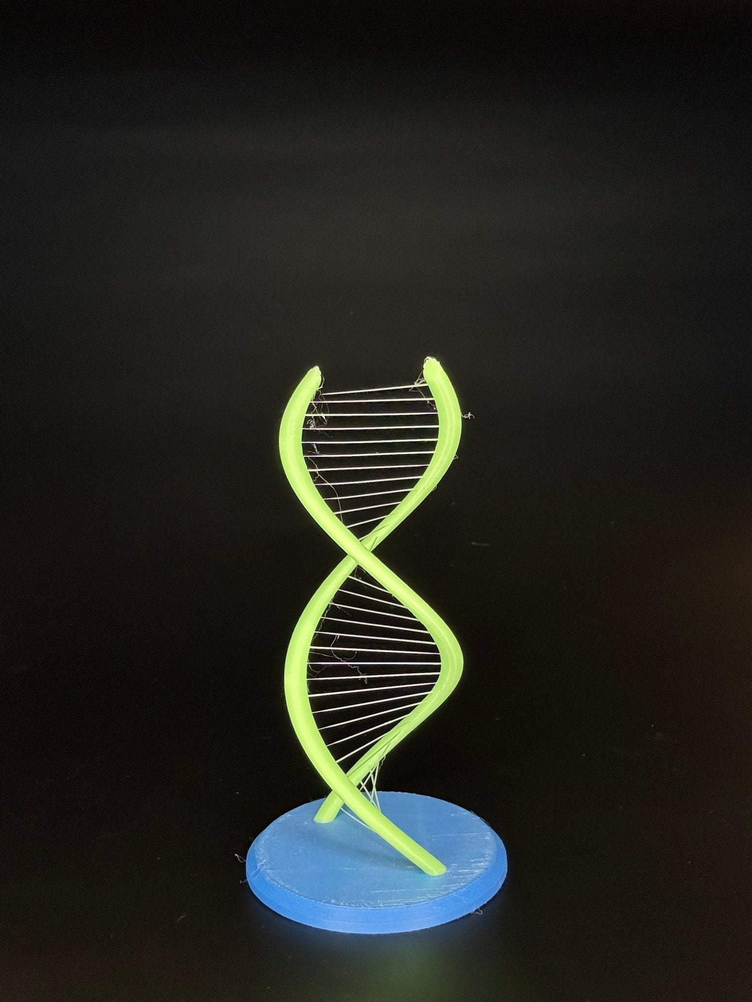 DNA Strand - Frogivation